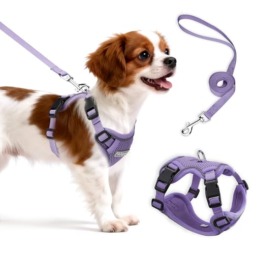 Small Dog Harness and Leash Set, Reflective Soft Breathable Mesh Vest, 3 Buckles, Adjustable Neck and Chest,Step in Dog Harness for Walking, Running, Training, Purple, M - color: Purple, size: Medium
