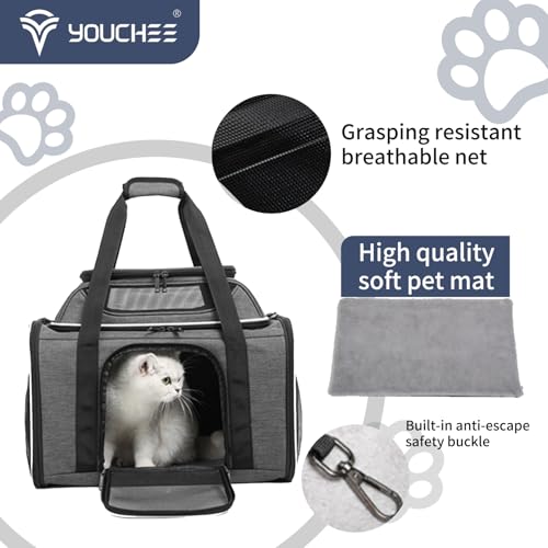 19" Large Pet Carrier for Cats & Small Dogs up to 25 lbs, Airline Approved Soft-Sided Dog Travel Bag, Top Expandable with Breathable Mesh, Washable Liner & Safety Tether. (Grey) - color: Grey