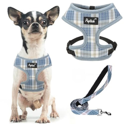 PUPTECK Soft Mesh Dog Harness and Leash Set Pet Puppy Cat Comfort Padded Vest No Pull Harnesses, Sky Blue, XS - color: Sky Blue, size: XS (NECK: 10", CHEST: 10"-14")