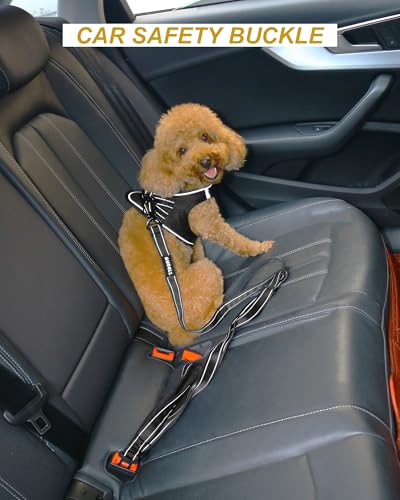 AUBELL Double Handle Tactical Dog Leash Heavy Duty for Small and Medium Large Dogs,Reflective Adjustable Nylon Leash that Pull with Car Seatbelt for Training,4.5-6FT,Black - color: No bungee-Black(4.5-6FT)
