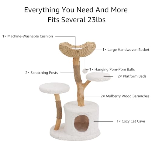 Unipaws Modern Cat Tree Tower for Small and Large Cats, Real Solid Wood Branch Luxury Cat Condo with Scratching Post and Cat Bed, Indoor Furniture for Cat Lover Gifts - size: Cat Tree (2 Platforms & 1 Basket)