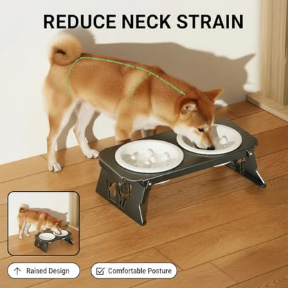 Elevated Ceramic Slow Feeder Bowls, 2 Bowls & Black Stainless Steel Stand,for Cats and Small Medium Dogs, 1.5 Cups*2,Raised Cat Food and Water Bowl Set, Blue & White