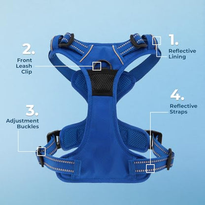 Voyager Dog Harness Dual Leash Attachment No-Pull Control Adjustable Soft but Strong Pet Harness for Medium and Large Dogs with 3M Reflective Technology, Leash Set Royal Nylon, L (Chest: 25-30") - color: Leash Set Royal Nylon, size: L (Chest: 25 - 30")