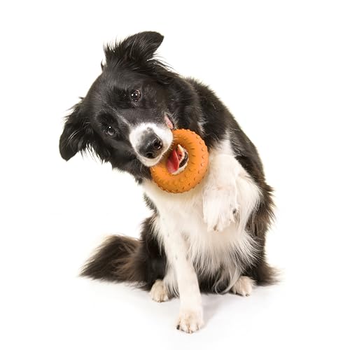 Playology Dog Toys | Dual Layer Ring Durable Dog Toy for Tough Chewers | Cheddar Cheese Scented Medium Chew Toy for Dogs - size: Medium, style: Cheddar Cheese