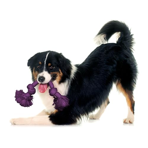 Playology Dog Toys | Dri-Tech Rope Tug of War Dog Toy for Tough Chewers | Bacon Scented Medium Tug Rope Toys for Dogs - size: Medium, style: Bacon