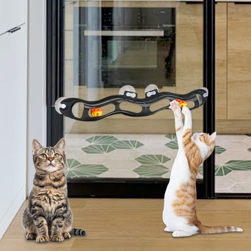 Window Mount Cat Toy - Suction Cup Ball Track, Interactive Roller Coaster Game | Mental Stimulation Activity Center for Indoor