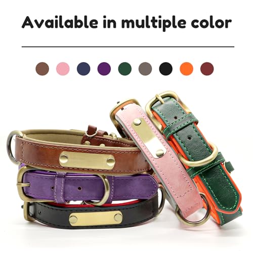 Custom Leather Dog Collar with Name Plate - Personalized Collar for Dogs with Laser-Engraved Nameplate - PU Faux Leather with Neoprene Lining (Green, XL (18-22 Inches)) - color: Green, size: XL (18-22 Inches)