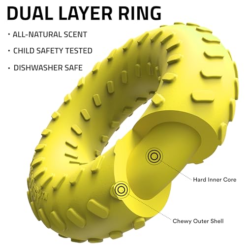 Playology Dog Toys | Dual Layer Ring Durable Dog Toy for Tough Chewers | Chicken Scented Medium Chew Toy for Dogs - size: Medium, style: Chicken
