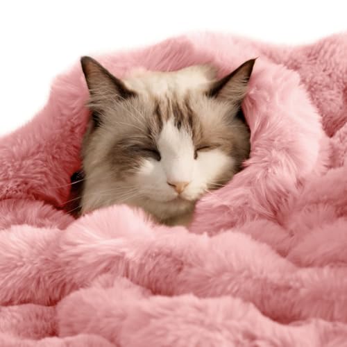 Cat Blanket, Reversible Sherpa & Bubble Fleece Pet Throw, Ultra-Soft Plush for Indoor Cats, Machine Washable, Anti-Static, Warm & Cozy, 22"×18" Inch Pink - color: Pink, size: 22"L x 18"W Inches