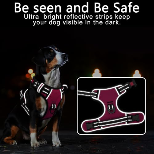 No Pull Dog Harness, No Choke Front Lead Dog Reflective Harness, Adjustable Soft Padded Pet Vest with Easy Control Handle for Small Medium Large Dogs, M - color: Lock-Rosy, size: Medium (Pack of 1)