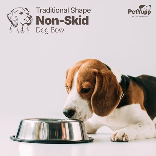 Stainless Steel Dog Bowl - Non-Skid Rubber Base, Rust-Proof & Dishwasher Safe – Durable Food and Water Bowl for Dogs and Cats - 16oz - size: Non Skid Bowl - 16 oz