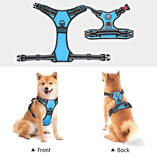 PoyPet No Pull Dog Harness, No Choke Front Lead Dog Reflective Harness, Adjustable Soft Padded Pet Vest with Easy Control Handle for Small to Large Dogs(Blue,XS) - color: Blue, size: XS