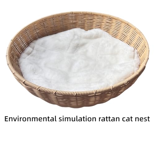 54" Modern Cat Tree for Large Cats, Wood Luxury Multi-Level Oak Solid Wood Cat Trees Cat Towers with 3 Rattan Weaving Cat Nests & Washable Cushions, Sisal Scratching Posts, for Indoor Cats-Lacquered - size: Large-Oiled1
