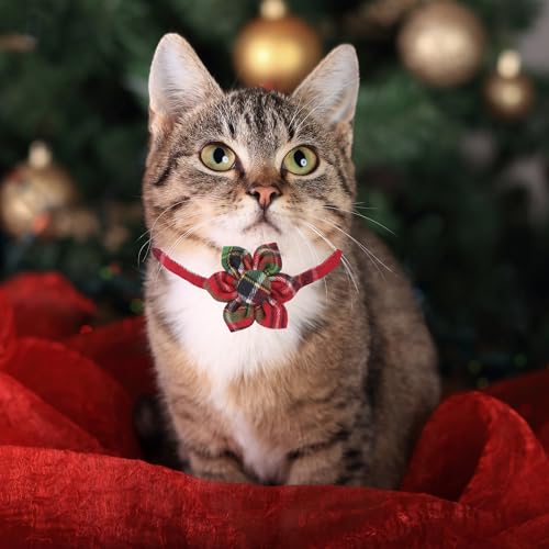 ADOGGYGO Christmas Cat Collar with Floral, 2 Pack Xmas Kitten Flower Collar, Red Green Plaid Christmas Collars for Cat Kitten - color: Christmas