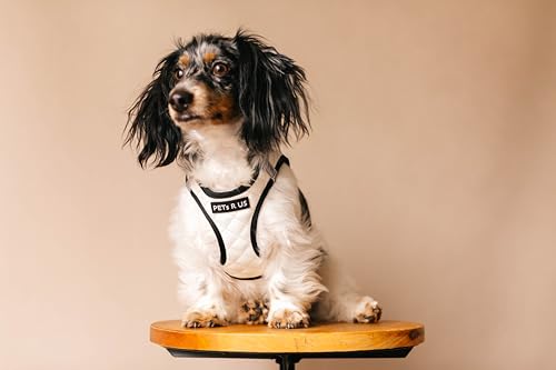 Step in Dog Cat Harness Choke Free Escape Proof Pet Vest Quilted Vegan Leather Breathable Mesh Reflective Padded for Small Medium Dogs (White, XL) - color: White, size: XL: Neck=14-18'', Chest:21-23''