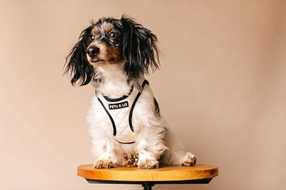 Step in Dog Cat Harness Choke Free Escape Proof Pet Vest Quilted Vegan Leather Breathable Mesh Reflective Padded for Small Medium Dogs (White, XL) - color: White, size: XL: Neck=14-18'', Chest:21-23''