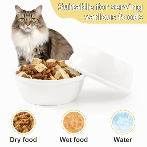 2PCS Cat Bowls Ceramic Replacement Bowl 360ml Kitten Food and Water Bowl for Indoor Cats Puppy Dishes Small Pet Feeding Dish for Rabbit & Guinea Pig Dishwasher & Microwaveable Safe(White)