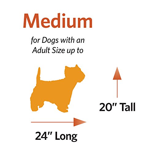 MidWest Homes for Pets Ultima Pro Heavy-Duty 30-Inch Dog Crate, Ultra-Strong Steel Double Door Pet Cage for Medium-Sized Breeds, Accessories Included - size: 30.7"L x 19.3"W x 21.5"H