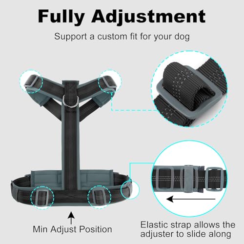 Plutus Pet No Pull Dog Harness, Adjustable Nylon Harness with Soft Padding, Reflective and Heavy Duty Dog Harness for Small, Medium, Large Dogs(Black, XS) - color: Black, size: XS