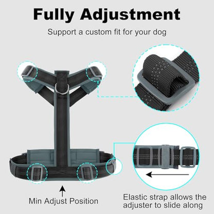 Plutus Pet No Pull Dog Harness, Adjustable Nylon Harness with Soft Padding, Reflective and Heavy Duty Dog Harness for Small, Medium, Large Dogs(Black, XS) - color: Black, size: XS