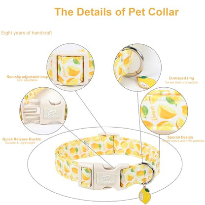 Summer Dog Collar Yellow Lemon Dog Collars for Puppy Small Dogs - Lightweight Adjustable Cute Male Female Dogs Everyday Collar with Safety Buckle XS - color: Yellow Lemon, size: XS