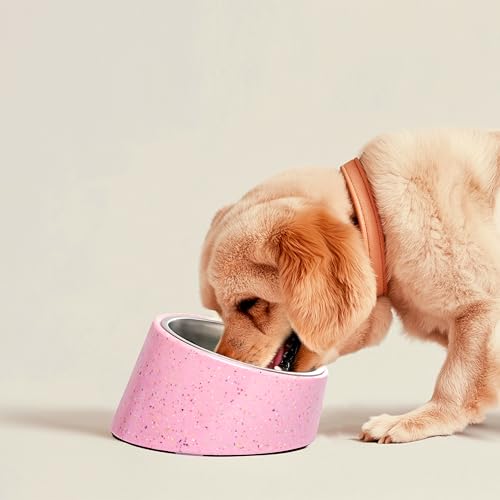 bzyoo 16oz Tilted Dog Bowl for Small Dogs & Cats, 15° Elevated Stainless Steel Pet Feeder, Ergonomic Anti-Vomiting Food Bowl for Frenchie, Pug, Persian Cat, Non-Skid Melamine Stand, Sprinkle (White) - color: White
