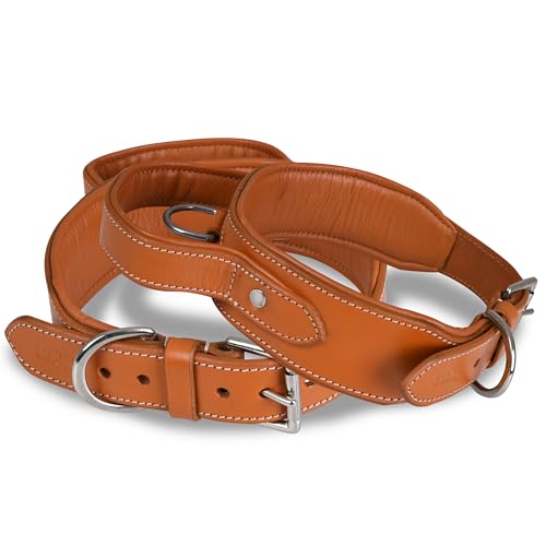 | Tactical Dog Collar with Handle, Genuine Saddle Grade Leather Heavy Duty | Comfortable, Padded, Strong | Best for Medium, Large & X-Large Breeds (M (Fit Neck Size 14.5"-18.5"), Light Brown) - color: Light Brown, size: M (Fit Neck Size 14.5"-18.5")