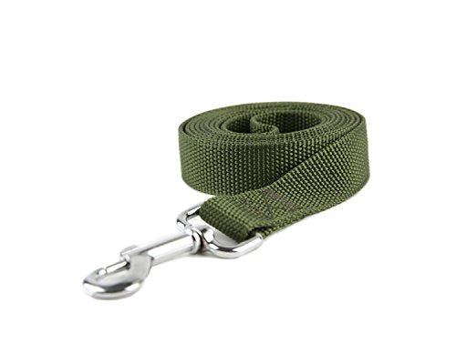 Nylon Dog Training Leash, Traction Rope, 4/5/6 Feet Long, 3/4 Inch 1 Inch Wide, for Small and Medium Dogs (1'' x 4 FT, Green) - color: Green, size: 1'' x 4 FT