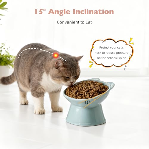 KSIA Klear Elevated Cat Bowls 2 Pack, Tilted Raised Cat Bowl for Food and Water, 4.72" Wide, Whisker Friendly Anti Vomit for Indoor Cats, Microwave and Dishwasher Safe, Blue - color: Blue