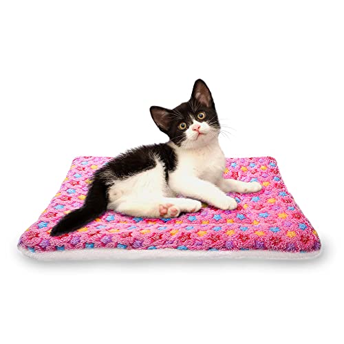FJWYSANGU Fluffy Pet Cat Blanket Soft Coral Velvet Pet Puppy Cushion Mat Warm Cover Soft Pad Mat(Star V2/Pink,Medium) - color: Star V2/Pink, size: Medium