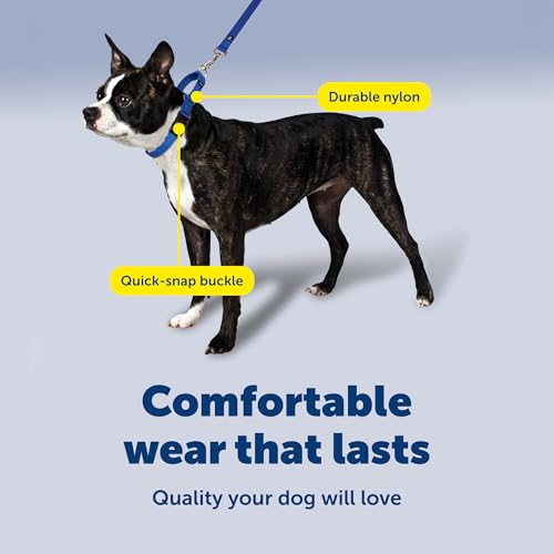 PetSafe Martingale Dog Collar with Quick-Snap Buckle - Petite, 3/8 Inch, Black