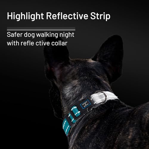 Roses&Poetry Small Dog Collar, Adjustable Personalized Durable Pet Collars for Small Medium Large Dogs (Teal-S) - color: Teal, size: S