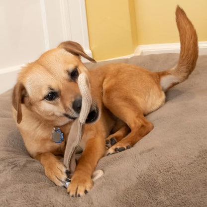 SPOT Dura-Fused Leather Bone Tug Dog Toy – Durable Real Leather & Jute Chew Toy with Double Rope Handles & Squeaker, For Moderate Chewers, 18in - size: 18 in