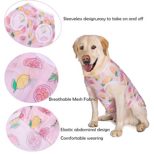 HDKUW Pet Clothes,Dog Summer T-Shirt Cool Breathable Sunscreen Dog Vest Clothes Outfit Costume for Medium Large Dogs White Whale 4XL - color: White Whale, size: 4XL