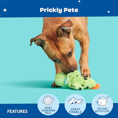 Barkbox 2 in 1 Interactive Plush Dog Toy - Rip and Reveal Toy for Dogs and Puppies - Stimulating Squeaky Pet Toys | Prickly Pete (Small) - color: Prickly Pete, size: Small Dog