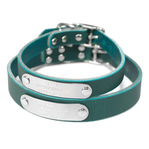 Handmade Personalized Bridle Leather Dog Collar, Engraved Stainless Steel Nameplate (Teal Green) - color: Teal Green