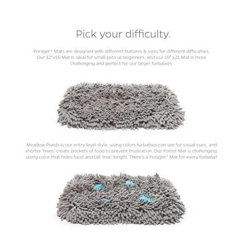 Pet Parents Forager Slow Feeder CAT and Dog Snuffle MAT and Feeding MAT, Forest Grey, Large