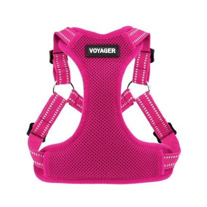 Best Pet Supplies Voyager Adjustable Step-in Flex Breathable Mesh Dog Harness for Small Medium Large Dogs (Fuchsia), M - color: Harness (Fuchsia), size: M