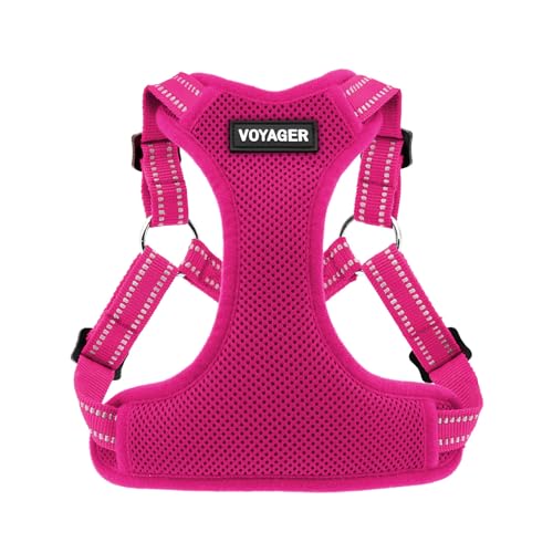 Best Pet Supplies Voyager Adjustable Step-in Flex Breathable Mesh Dog Harness for Small Medium Large Dogs (Fuchsia), XS - color: Harness (Fuchsia), size: XS