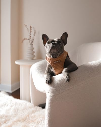 Step in Dog Cat Harness Lightweight Breathable Mesh Soft Padded Pet Vest Vegan Leather Choke Free Escape Proof for Small Medium Dogs (Tan Brown, Small) - color: Tan Brown, size: Small: Neck=9.4-11.4''/Chest=14.5-17''
