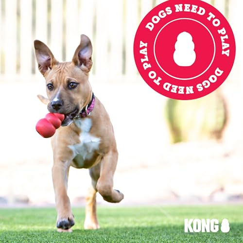 KONG Stuff-A-Ball - Durable, Natural Rubber Chew Toy for Dogs - Dental Health Pet Toy for Chewing & Teeth Cleaning - Stuffable for Treats & Snacks - for Large Dogs (Pack of 2) - size: Large(2-Pack)