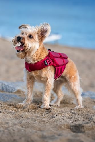 NOAH & PAW Dog Life Jacket, Human Standards Lifejacket Design, Dog Life Vest for Swimming and Boating, 3X Foam Support for Max Floating, Breathable Mesh, Salvavidas para Perros, Size XS - size: XS