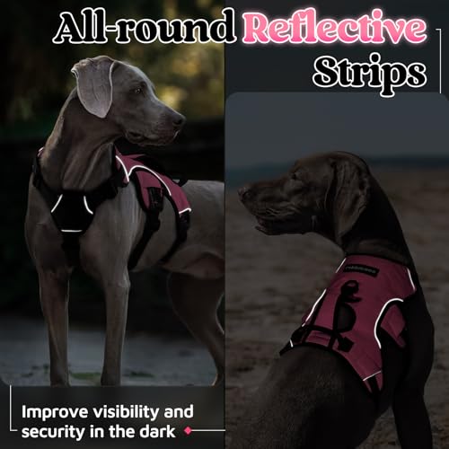 rabbitgoo Escape Proof Dog Harness Medium, Soft Padded Full Body Pet Harness, Reflective Adjustable No Pull Vest with Lift Handle and Leash Clip for Walking Hiking Training, Light Pink, M - color: Light Pink, size: Medium (Pack of 1)