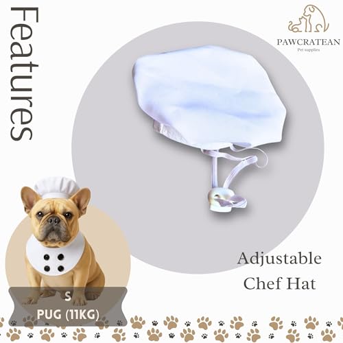 Pet Custom Dog Custom Cat Custom Hoodie, Sporty Look, Funny Gift, Halloween Holiday (Chef, Large) - color: Chef, size: Large