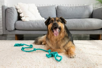 Tumbo Tough Tug Rope Dog Toy - (5 ft Long Strong and Durable Rope Pull Toy with Handle) TUG of WAR Dog Toy (Bahama Blue) - color: Bahama Blue