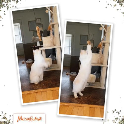 Meowijuana Jump 'n' Jamb Door Hanging Cat Toy | Funky Monkey | Refillable Interactive Catnip Toy | Promotes Play and Cat Health | Includes Potent Catnip Grown in North America - color: Funky Monkey