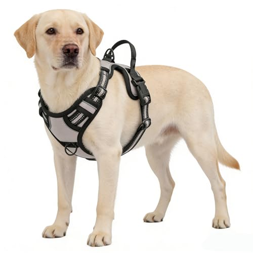 Gray No-Pull Dog Harness with 2 Leash Clips，Soft Padded Vest for Large Dog, Adjustable Reflective Dog Vest Easy to Put on and Take Off, (Neck: 17"~24", Chest: 24"~32",Gray L) - color: Gray, size: Large