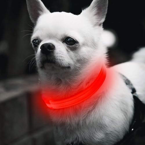 BSEEN Light Up Dog Collar, Reflective LED Dog Collar Rechargeable Glowing Puppy Collars for Small Dogs & Cats, Safety Dog Lights for Night Walking (Red) - color: Red