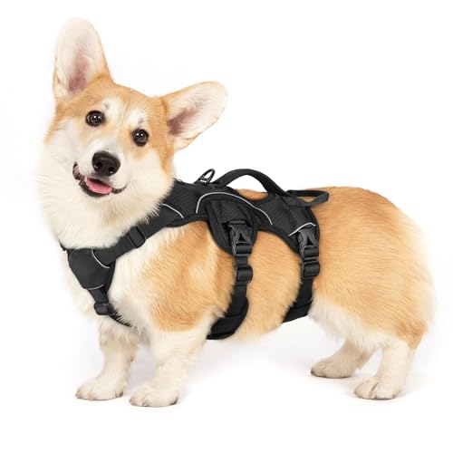 rabbitgoo Escape Proof Dog Harness, Soft Padded Full Body Pet Harness, Reflective Adjustable No Pull Vest with Lift Handle and Leash Clip for Large Dogs Walking Hiking Training, S, Black - color: Black, size: Small (Pack of 1)