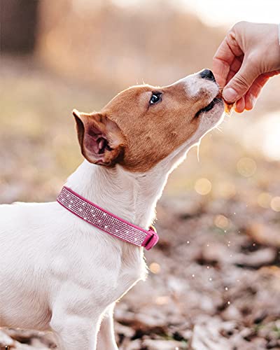 Dog Collar for Small Dogs, Adjustable Leather Suede Bling Dog Collars，Rose Red Dog Collar Cat Collar, Rhinestone Dog Collar (XS, Rose red) - color: rose red, size: XS